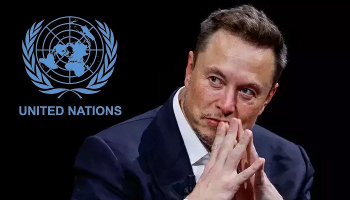 Why did Tesla CEO Elon Musk Demand India's Permanent Membership?