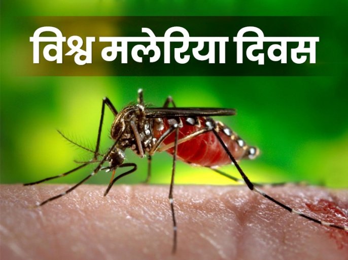 World Malaria Day