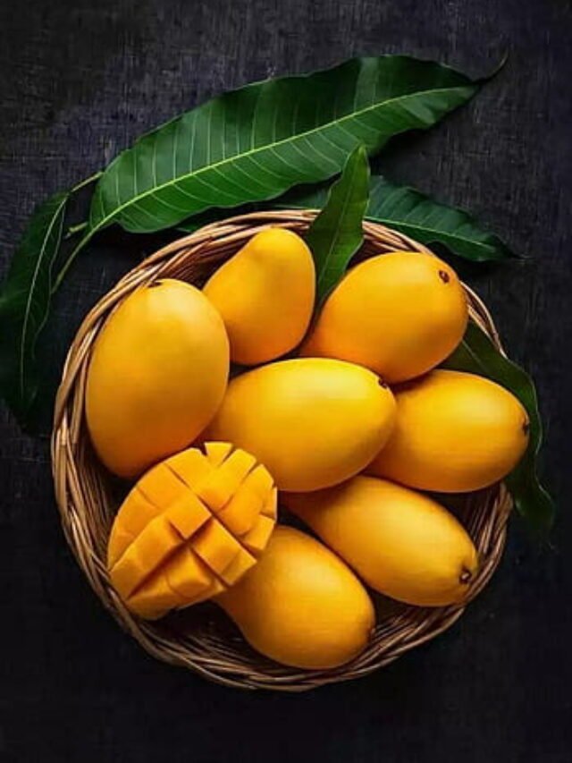 cropped-mangoo.jpg