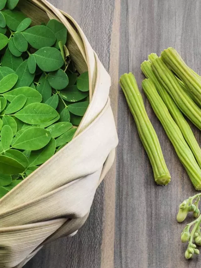 Drumstick-Moringa-and-its-Leaves-Benefits-in-Hindi-2.jpg