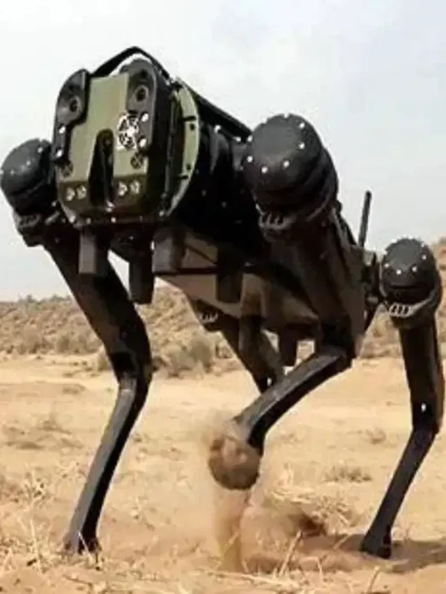 indian-armys-robotic-dogs-will-give-a-befitting-reply-to-the-enemies-will-soon-join-the-army-know-their-specialty