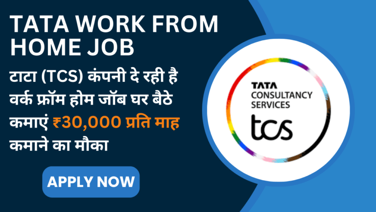 Tata Work From Home Job