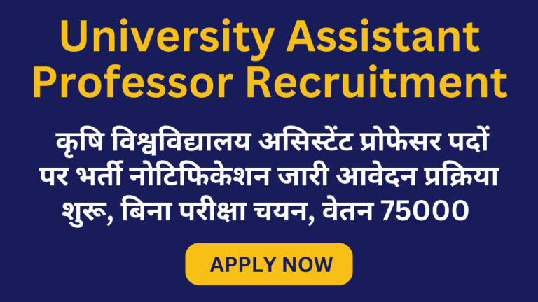 University Assistant Professor Recruitment