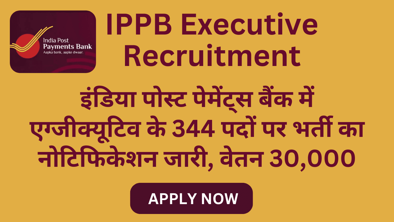 IPPB Executive Recruitment